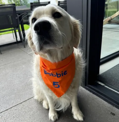 snapinstaapp 449669401 1162544631720795 6919383099769696743 n 1080