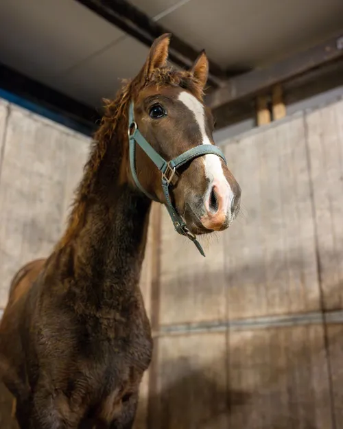 snapinstaapp 466382062 18473761060005832 6969988897945416245 n 1080