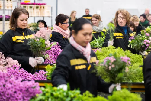 02 jumbo verhuist distributiecentrum bloemen