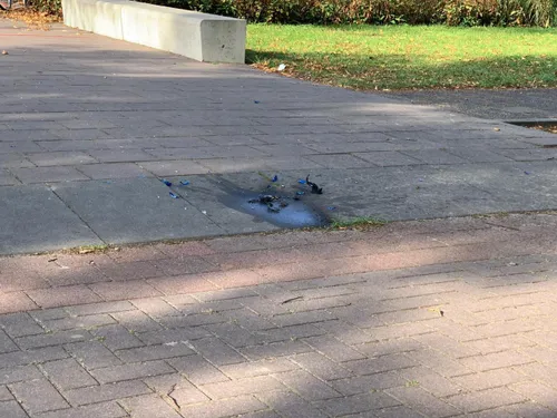 04 08 2020 brandstichting in schijndel 03