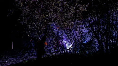 04 11 2023 fright night 12