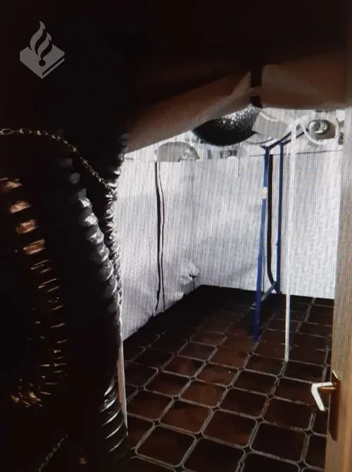 05 09 2020 hennepkwekerij schijndel