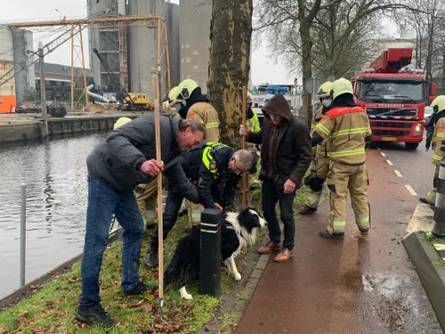 06 02 2021 hond te water 07