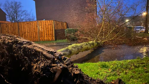 06 02 2022 stormschade veghel 03