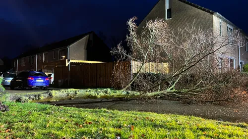 06 02 2022 stormschade veghel 06