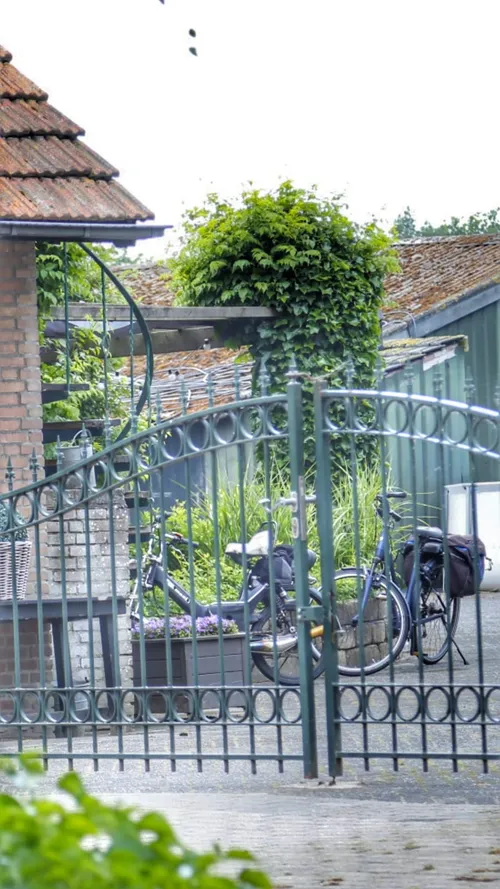 07 06 2020 ongeval kraanmeer erp 09