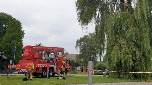 10 07 2021 stormschade schijndel 05