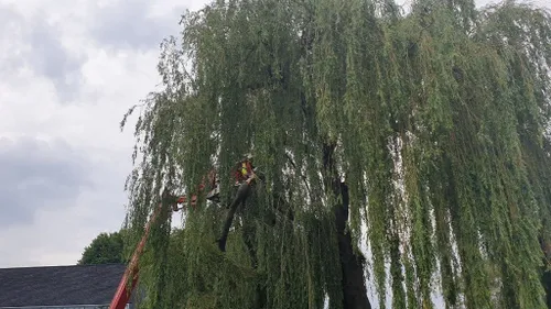 10 07 2021 stormschade schijndel 07