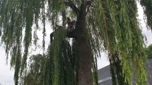 10 07 2021 stormschade schijndel 08