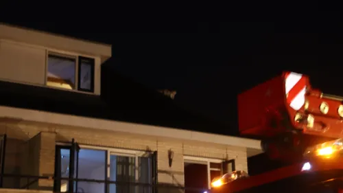 13 08 2020 kat op dak 07