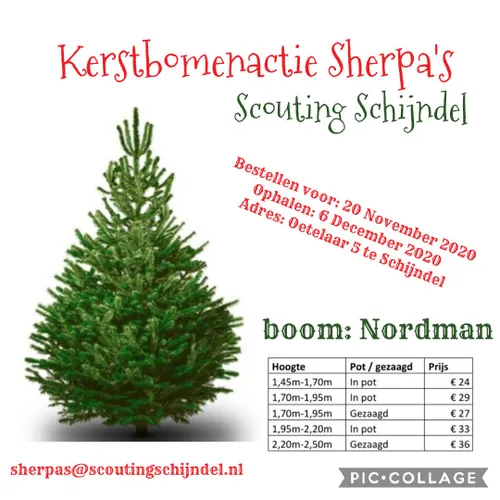 13 11 2020 kerstbomenactie scouting schijndel
