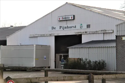14 03 2022 stemmen te paard 04