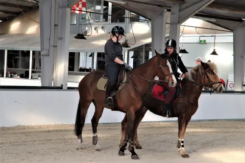 14 03 2022 stemmen te paard 06