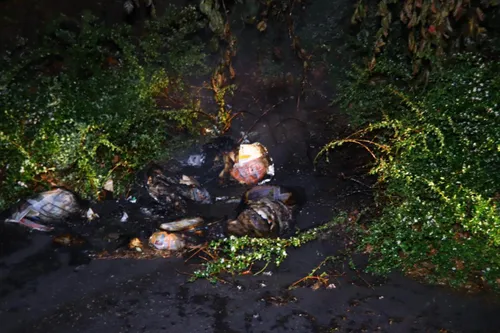 15 05 2020 buitenbrand lookveld 05