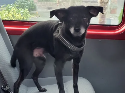 16 12 2022 melding gaslucht veghel 05 1