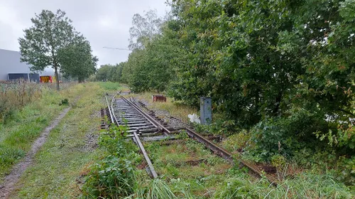 2023 09 24 siemei 06