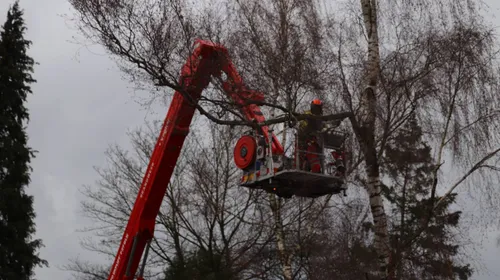 2023 12 22 stormschade eerde 04