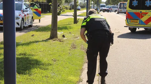 20230814163025 img 3127