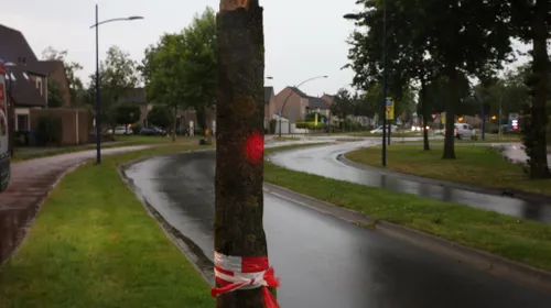 2024 07 09 stormschade bundersweg veghel 03