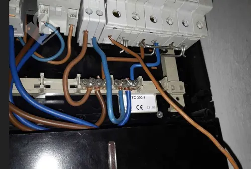 22 12 2020 hennepkwekerij schijndel