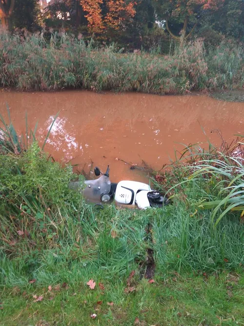 22519352 1920930171563149 2123221179078874807 n