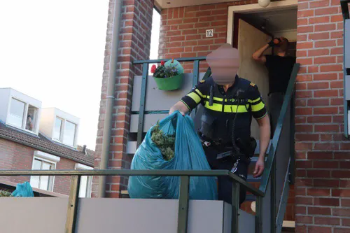 23 05 2019 hennepkwekerij erp 04