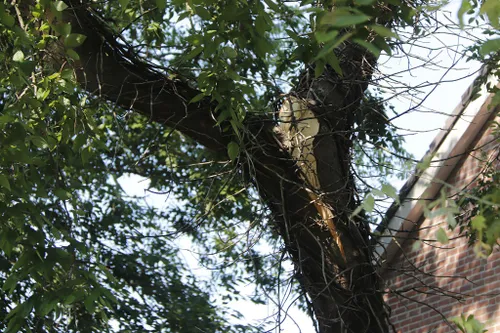 23 07 2022 tak valt op camper 04