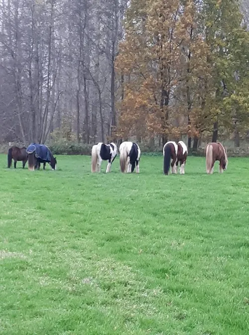 23561871 868781496621387 5366079512543599707 n