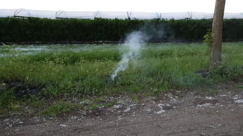 24 05 2019 buitenbrand olland 05