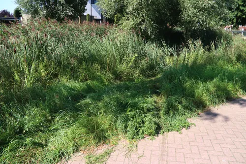 25 08 2021 auto bijna te water 01