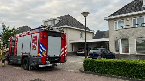 26 05 2022 kat in de problemen 02