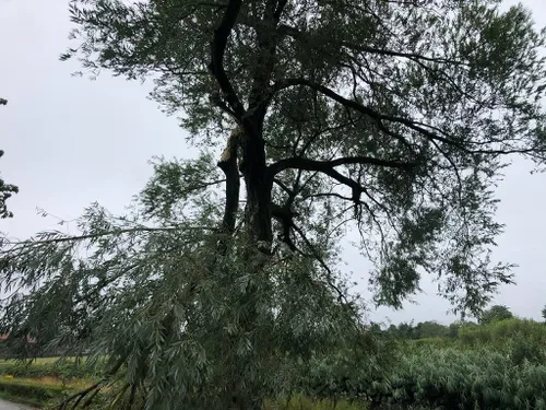 27 07 2023 stormschade veghel 01
