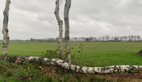 27 12 2020 stormschade 6