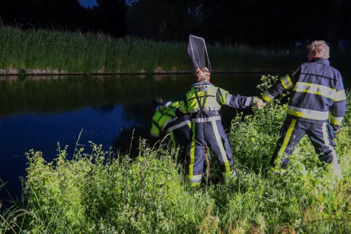 28 05 2019 hertje in zuid willemsvaart 05