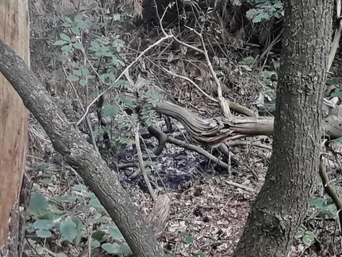 28 08 2019 buitenbrand erp 02