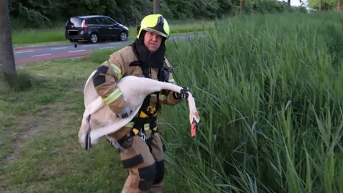 29 05 2023 brandweerinzet veghel 04