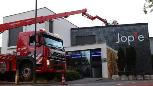 29 05 2023 zwaan op dak 05