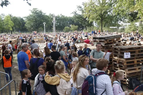 29 08 2022 veghel in hout 10