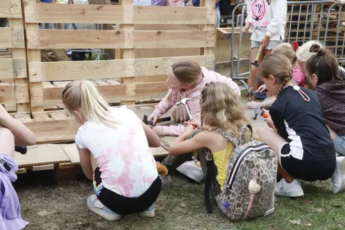 29 08 2022 veghel in hout 15