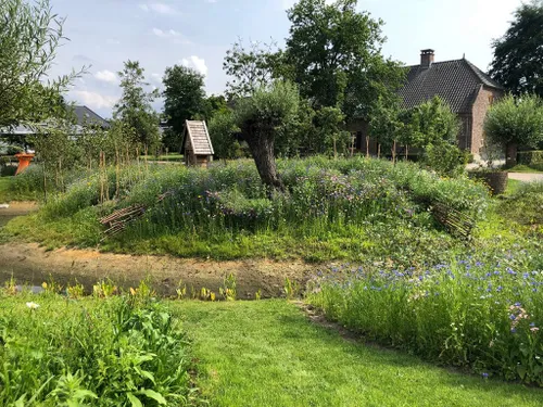 30 06 2023 eco wadi mariaheide 06