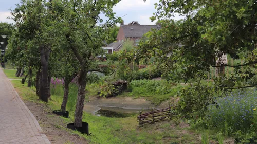 30 06 2023 eco wadi mariaheide 12