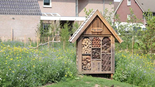 30 06 2023 eco wadi mariaheide 13