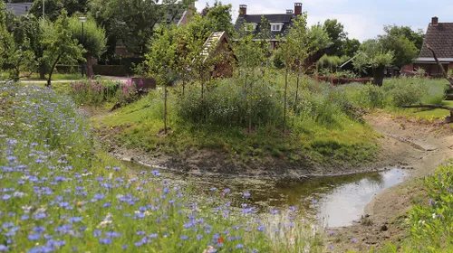 30 06 2023 eco wadi mariaheide 14