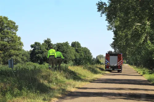 30 07 2020 dier te water zuid willemsvaart keldonk 4