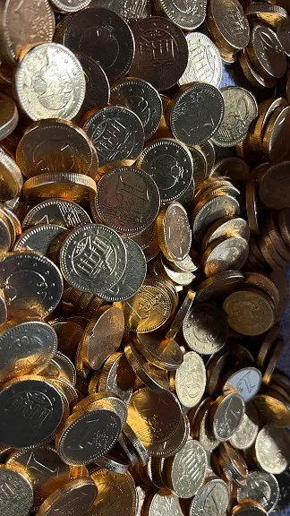 30 08 2022 veghel in hout 02