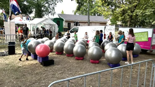 30 08 2022 veghel in hout 09