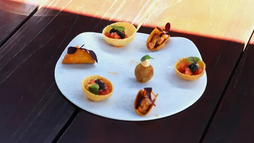 31 05 2023 sillyfox 06 1