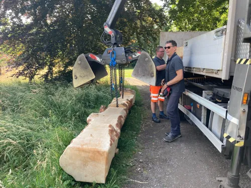 347445421 566062212370005 530318249017271474 n