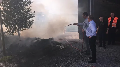 44f4ff56 bece 46a1 8153 8b211e9f9293