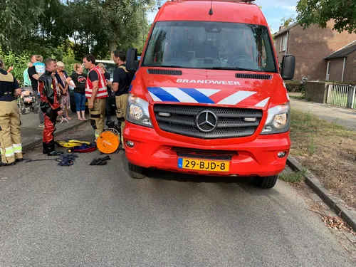 66d1ff9b b1b2 4161 9c8f a8981e650d41